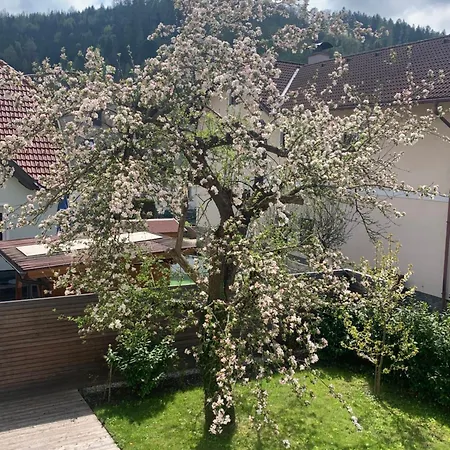 Haus Zwei Apartment Aspang Markt