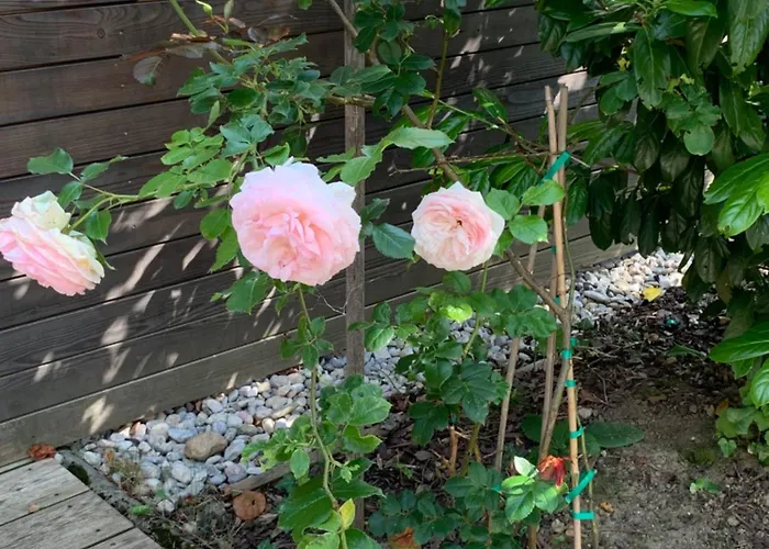 Haus Zwei * Aspang Markt