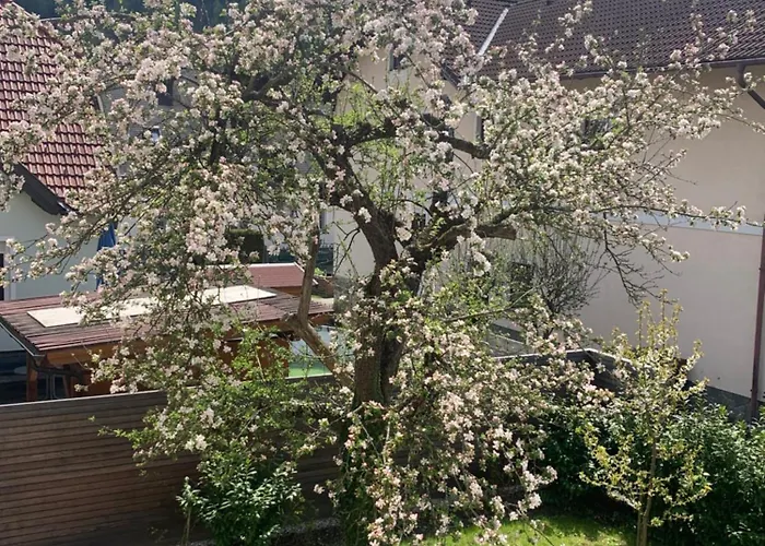 Haus Zwei Apartman Aspang Markt